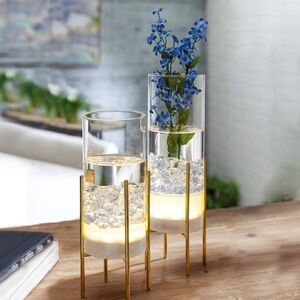 Premier Gold and Clear Glass Vase Duo